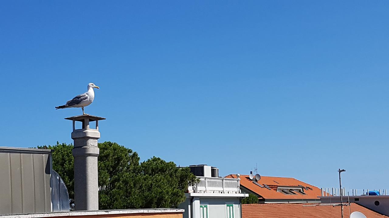 Hotel Le Pleiadi Bellaria-Igea Marina Bagian luar foto